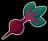 Beetroot