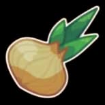 Onion